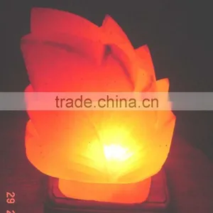 Himalayan Double Leaf Salt Lamp thumbnail-1