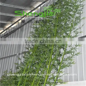 SJLJ013620 Artificial Tree and Plant Fake Plastic Bamboo for Garden Home Decoration thumbnail-3