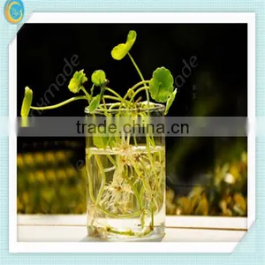 Clear Glass Vases for Home Decoration thumbnail-1