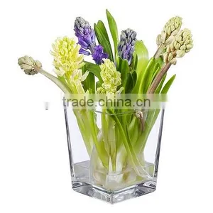 Super Mini Clear Glass Vase thumbnail-1