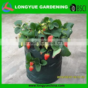 Disposable Environmental Cheap PE Plastic Grow Bags Fabric thumbnail-1