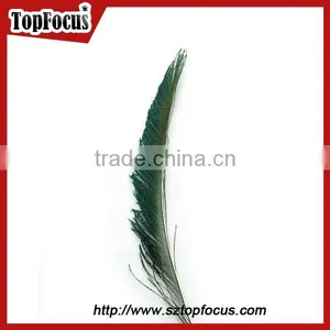 Cheap Down Raw Material Green Natural Peacock Feather for Sale thumbnail-1