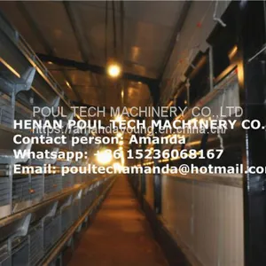 Zimbabwe Poultry Farm Small Chicks Cage & Day Old Chicken Cage With Automatic Feeding Machine Used in Chicken Shed thumbnail-2