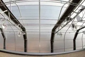 Light Deprivation Greenhouse for USA Market Medical Plants Growing thumbnail-2