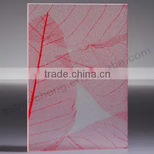 New Product Cheap Good Price Translucent Materials Petg Partition thumbnail-2