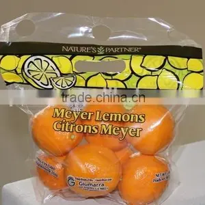 Clear LDPE Chinese Plastic Freezer Bag for Fruit Package With Holes thumbnail-2