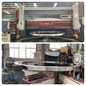 EBL.20.0544.200-1STPN Slewing Ring Bearing Dia 640.8*434*56mm For JIB Crane thumbnail-4