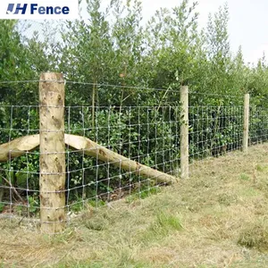 Cheap Farm Field Fence Barbed Wire and t Posts Farm Guard Field Fence Sustainable thumbnail-6