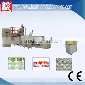 EPE Foamed Fruit Packing Production Line(TYEPEW-75CE APPROVED) thumbnail-1