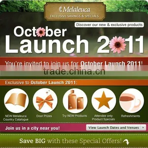 Html Marketing Newsletter Template Design thumbnail-1