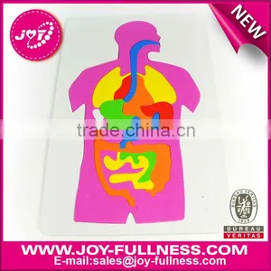 Human Digestive System Puzzle thumbnail-1
