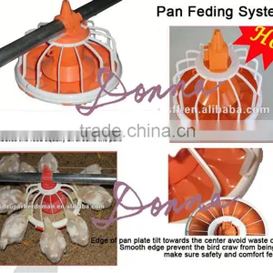 Broiler Farm House and Equipments thumbnail-3