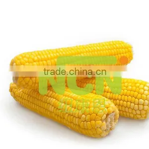 Delicious Food Frozen Sweet Corn Cob thumbnail-1