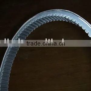 Beltcogged Belt thumbnail-1
