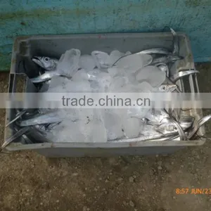 2016 Hot Sale Industrial Ice Machines With Stainless Steel 304 thumbnail-1