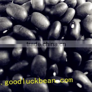 High Quality White/Black Pulse Beans thumbnail-5