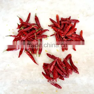 2016 New Corp Red Chili Sauce thumbnail-5