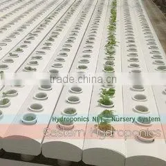 Greenworld Company Limited company overview - view 1 thumbnail