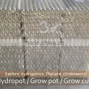 Export Grow Cup thumbnail-3