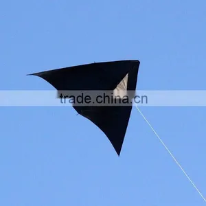 2.6m Delta Kite thumbnail-1