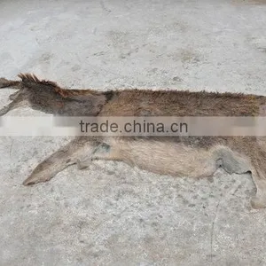 Donkey Hides, Donkey Skin,Donkey Leather thumbnail-1