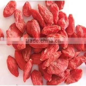 Hot Sale Dried Goji Berries Fruit thumbnail-1