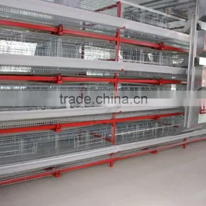 Layer Chicken Cages For Farm thumbnail-5