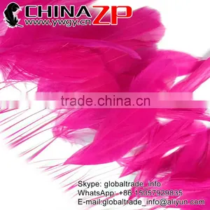 NO.1 Supplier ZPDECOR Wholesale 30-35cm Length Fashion Dyed Hot Pink Stripped Coque Chicken Tail Feathers for Sale thumbnail-1