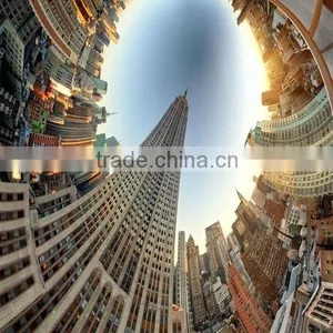 Professional Surveillance Extra Wide Angle Fisheye IP 360 Degree Panoramic Camera thumbnail-5