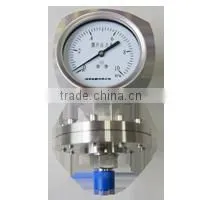 YPF-100A Diaphragm Pressure Gauge thumbnail-1