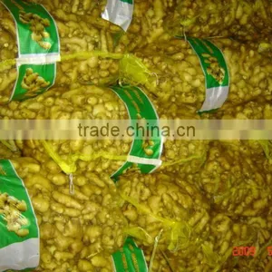 Chinese Fresh Young Fresh Ginger thumbnail-1