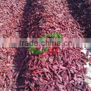 2015 Dry Clean Pressed Bag Paprika Pod thumbnail-2