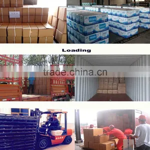 Supplier Bacillus Subtilis/product Bacillus Subtilis/manufacturing Bacillus Subtilis thumbnail-4
