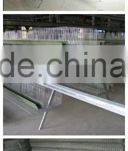 Poultry Farm House Design A Type Layer Chicken Cage for 96 Egg Chicken thumbnail-2