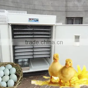 Full Automatic Ostrich Egg Hatching Machine Factory Directly Hatching Machine for Sale thumbnail-2