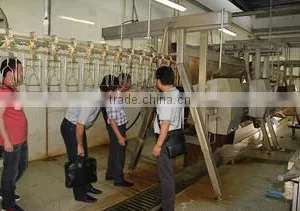 Nanjing Baiyun Imp & Exp Co., Ltd. company overview - view 1 thumbnail