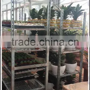 Greenhouse and Garden Mobile Flower Shelf Rack thumbnail-5