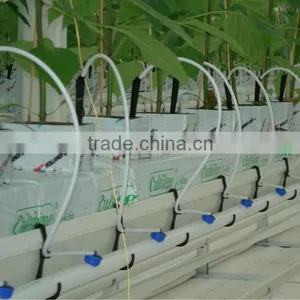 Used Greenhouse Commercial Hydroponics Greenhouses thumbnail-1