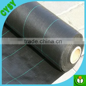 90gsm-140gsm Black/green PP Ground Cover,weed Barrier Fabrics, Weed Mat in Strawberry Garden thumbnail-5