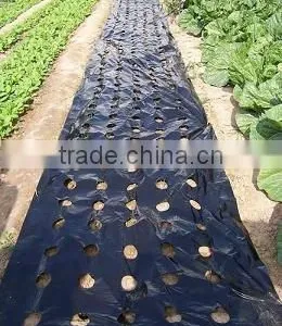 PE Agriculture Black Mulch Film With Perforated Holes thumbnail-1