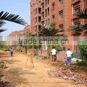 Artificial Palm Tree for Decoration China Fake Garden Fiberglass Tree Decor thumbnail-3