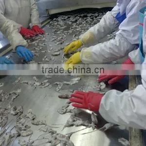 IQF China Yellow Sea Baby Squid thumbnail-2