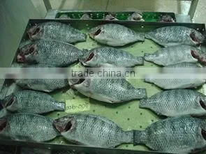 Tilapia Whole thumbnail-1