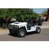 White 70N.m/4000rpm Max Torque, ECU Ignition, Water-Cooled Off Road Dune Buggy 800UV-R2 thumbnail-1