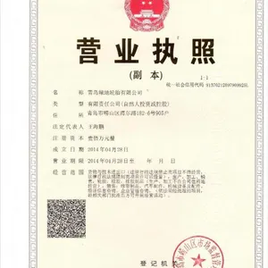 Qingdao Greenland Tyre Co., Ltd. company overview - view 1 thumbnail