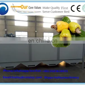 Automatic Cashew Nut Kernels and Shells Separator Machine/cashew Nut Shelling Machine/cashew Nut Processing Machine thumbnail-2