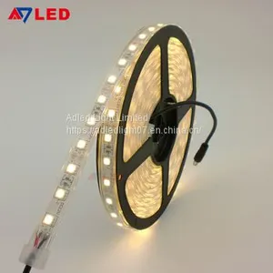 9 Years Factory High Lumen 24v 2000k 2200k 2400k Outdoor Silicone Tube 5050 Smd Led Strip Lights thumbnail-1