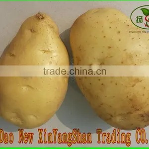 Chinese Normal White Garlic/4 to 6 Petal Cangshan Garlic thumbnail-6