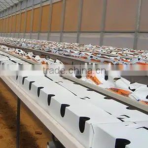 PVC Soilless Growing Troughing System thumbnail-2