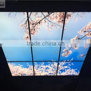 2015 Japanese Style Sakura Sky Ceiling Panel thumbnail-2